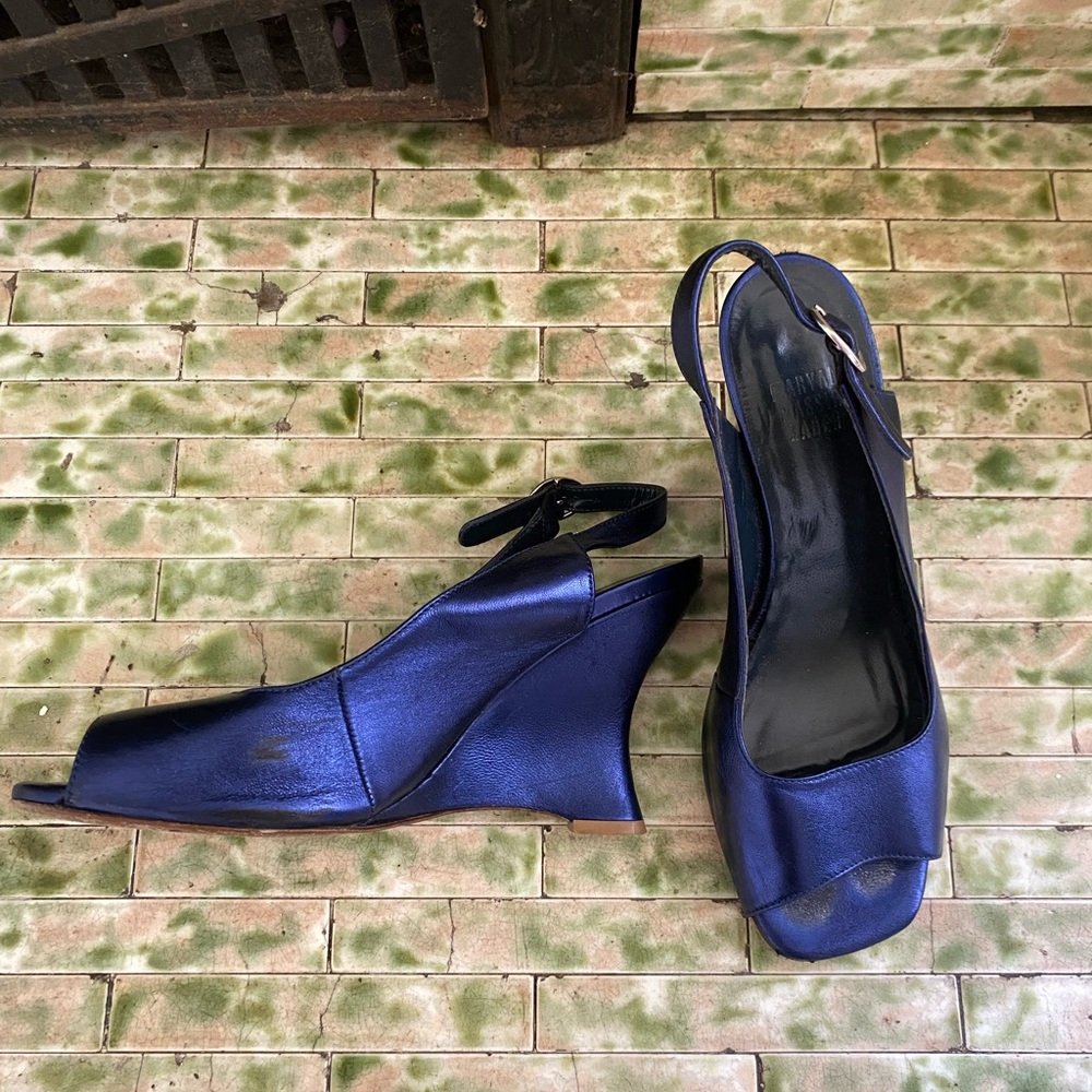Maryam Nassir Zadeh Royal Blue Galaxy Bianca Wedges